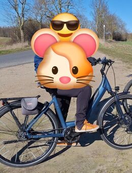 WINORA SINUS iR8, 28 iger E bike zu verkaufen - Bad Kleinen