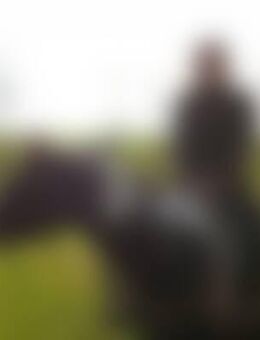 bla*** - Buch (Erlbach)