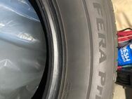 4 Nexen Sommerreifen (neu) - Darmstadt Eberstadt