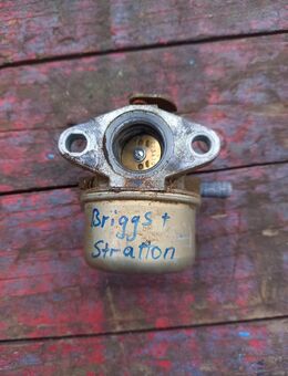Briggs&Straton Vergaser - Büdingen