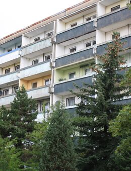 Zum Einzug bereit ! 3-Raumwohnung mit großer Wohnküche zu vermieten - Bitterfeld-Wolfen