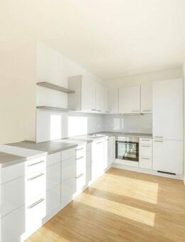 Naturnah am Neckar! Großzügige Dachgeschosswohnung mit sonniger Terrasse und Traumküche! - Bad Friedrichshall