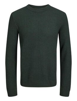 Jack & Jones PlusSize Rundhalspullover JORBRODY KNIT CREW NECK BF PLS
