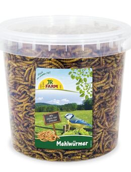 JR Farm Mehlwürmer mit Extra Viel Protein - 400 g