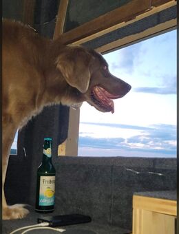 Kommunikation auf Augenhöhe - Marburg