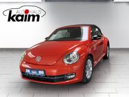 VW Beetle, Cabriolet Club, Jahr 2016 - Leck
