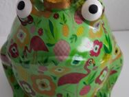 Frosch Freddy? Blumentopf. - Kassel