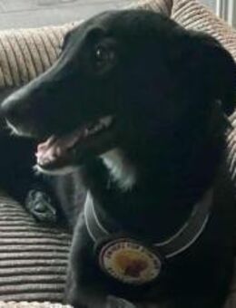 Dina wartet auf ihr Glück - München