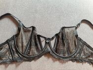 Hunkemöller Private Collection 80D - Mannheim