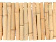 Windhager Beetumrandung Bambus, LxH: 120x30 cm, Beeteinfassung