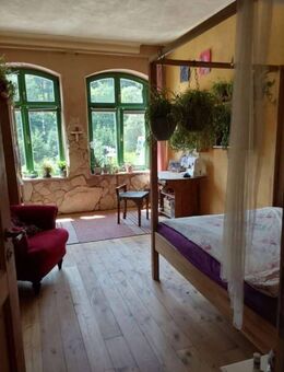 Seltene Gelegenheit: Historisches Einfamilienhaus mit 1,8 Hektar Grundstück in Sonneberg - Sonneberg