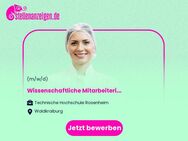 Wissenschaftliche Mitarbeiterin / Wissenschaftlicher Mitarbeiter (m/w/d) mit Promotionsabsicht im Bereich mechanische Verfahrenstechnik mit Fokus auf Recyclinganwendungen - Waldkraiburg