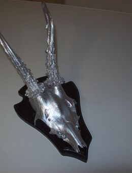 Geweihdekoration - Erwitte