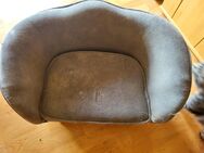 Katzensofa - Dortmund Hombruch