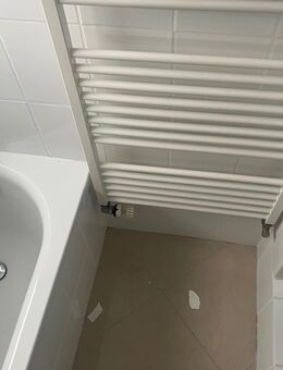 Verschiedene Heizkörper - Bad Homburg (Höhe)