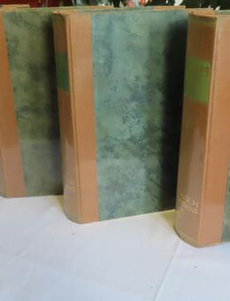 Brockhaus Handbuch des Wissens, Band 1 - 4 von 1921 - Bingen (Rhein) Zentrum