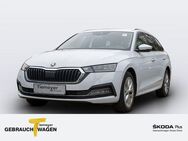 Skoda Octavia Combi 2.0 TDI STYLE COLUMBUS HEAD-UP ACC - Werdohl