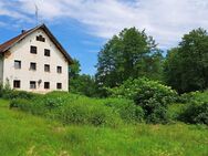 Sanierungsbedürftige Hofstelle in Schwarzach mit viel Grund arrondiert - Schwarzach (Bayern)