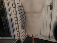 Büste Torso+Dreibein-Dekobüstenständer Kleiderpuppe 19,- - Flensburg