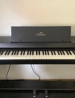Yamaha Calvinova - Würzburg