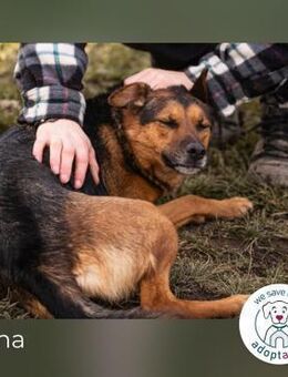 Stina Königreich gesucht - Kirchzell