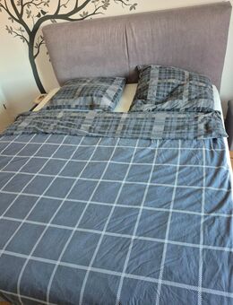 Boxspringbett - Seligenstadt
