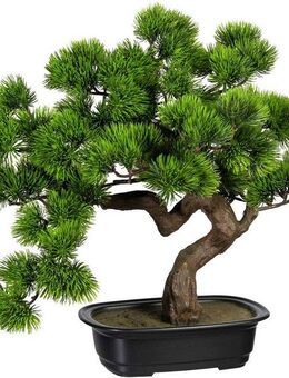 Kunstbonsai Bonsai Kiefer Bonsai Kiefer, Creativ green, Höhe 40 cm