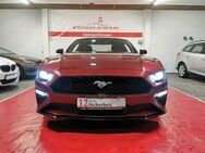 Ford Mustang 2.3 EcoBoost *LED+Kamera+TMP+ Klima - Ober-Mörlen