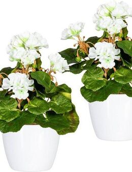 Kunstpflanze Havel Geranie, Home affaire, Höhe 24 cm, im Topf, 2er Set