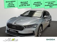 Skoda Superb, 1.5 TSI Combi Selection, Jahr 2024 - Memmingen