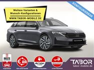 Skoda Octavia, Combi TDI Sportl vEHK, Jahr 2025 - Kehl