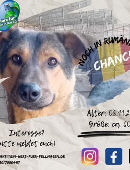 CHANCE-ist bereit für das richtige LEBEN - Waakirchen