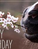 Gutschein 200€ Wert in 86633