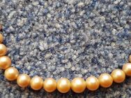 Perlenkette PERLEX 835 - 1 reihig Kette Halskette mit vers. Perlen - 65 cm - Garbsen