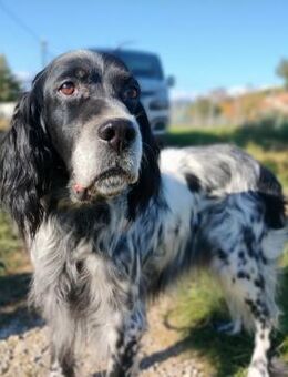 Team - Senior Notfall ‼️ - Würzburg