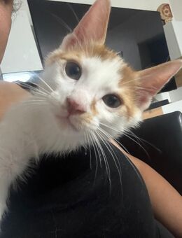 Bobo 6 Monate - Wesseling Zentrum