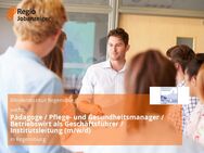 Pädagoge / Pflege- und Gesundheitsmanager / Betriebswirt als Geschäftsführer / Institutsleitung (m/w/d) - Regensburg