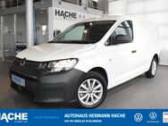 VW Caddy, 2.0 TDI EcoProfi Cargo Maxi, Jahr 2023 - Blomberg (Nordrhein-Westfalen)