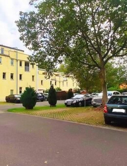 Helle 2-Raum-Wohnung mit Fahrstuhl | neues Laminat | PKW-Stellplätze vorhanden - Gräfenhainichen