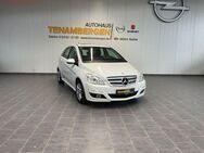 Mercedes-Benz B 180 PDC Klima Lamellendach - Mettingen