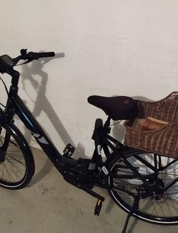 E Bike City Ray - Bernau (Berlin)
