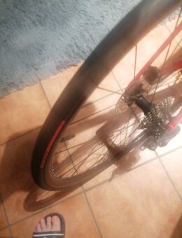 Specialized Tarmac SL 6 gr 58 in Rot - Mönchengladbach