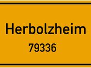 Neuwertige Wohnung in zentraler Lage - Herbolzheim