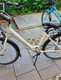 E Bike Allegro - Hinte