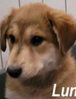 Luna war zum Tod verurteilt - Berlin