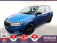 Skoda Fabia, 1.0 TSI 110 Style, Jahr 2018 - Freiburg (Breisgau)