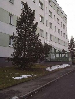 1-Raum-Wohnung, ideal für Berufseinsteiger, Single - Reinsdorf (Sachsen)