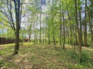 Baugrundstück für Ihr Traumhaus in Fichtenwalde - Beelitz