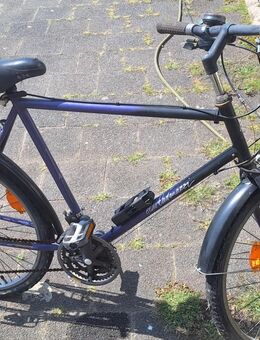 Fahrrad Herren - Florstadt