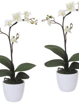 Kunstpflanze Orchidee Phalaenopsis Orchidee, Creativ green, Höhe 55 cm, im Keramiktopf